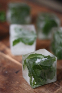 julep ice cubes